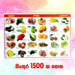 School Picture Book for Grade 1,2,3,4 and 5 - මගේ  පිංතූර පොත